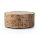 Sophisticated Caya Coffee Table