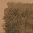 Daughters Of The Water Set Of 9 - Default Title