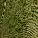 Luxe Living Suz Lazy Susan - Moss Cast Glass