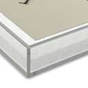 Aurelia Rubbings 5 by Fox Studios - 30X40 Grey Acrylic Shadow Box