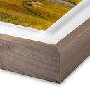 Where The Buffalo Roam by Wesley and Emma Teague - 40X30 Rustic Walnut