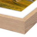 Where The Buffalo Roam by Wesley and Emma Teague - 32X24 White Oak