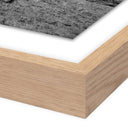 Aetheria Highlander Elk Ca by Wesley and Emma Teague - 32X32 White Oak Framed Paper