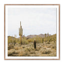 Summit High Desert by Wesley and Emma Teague - 32X32 Rustic Walnut