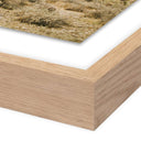 Summit High Desert by Wesley and Emma Teague - 32X32 White Oak