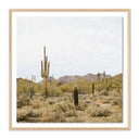 Summit High Desert by Wesley and Emma Teague - 40X40 White Oak