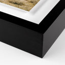 Summit High Desert by Wesley and Emma Teague - 40X40 Black Maple