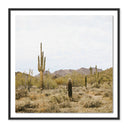 Summit High Desert by Wesley and Emma Teague - 40X40 Black Maple