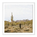 Summit High Desert by Wesley and Emma Teague - 48X48 White Maple