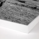 Aetheria Highlander Elk Ca by Wesley and Emma Teague - 40X40 White Maple Floater Framed Metal