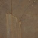 Blossom Sakura by Jess Engle - 18X24