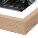 Aurelia Joe Dimaggio Signing Autographs by Getty Images - 48X36 White Oak