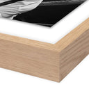 Muhammad Ali Punching Joe Frazier by Getty Images - 24X18 White Oak