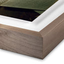 Starlight A Giant Star by Getty Images - 36X48 Rustic Walnut