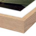 Starlight A Giant Star by Getty Images - 24X32 White Oak