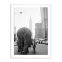 Aria Circus Animals On 33Rd St by Getty Images - 24X32 White Maple