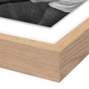 Iconic Capture Cassius Clay Watching Himself In A Mirror - 36X48 White Oak