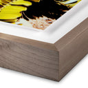 Verano Baja Polaroid No 1 by Ella Virginia West - 48X48 Rustic Walnut