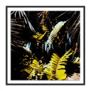 Verano Baja Polaroid No 1 by Ella Virginia West - 40X40 Black Maple