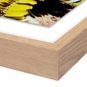 Verano Baja Polaroid No 1 by Ella Virginia West - 40X40 White Oak