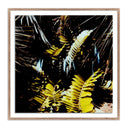 Verano Baja Polaroid No 1 by Ella Virginia West - 32X32 Rustic Walnut