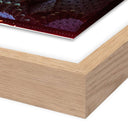 Veridien Villeta by Ella Virginia West - 36X48 White Oak