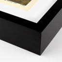 Apex Experminet II by Pepi Sprohge - 40X335 Black Maple