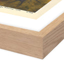 Apex Experminet II by Pepi Sprohge - 24X205 White Oak