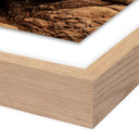 Coastal Charm Perros Guirec by Guy Sargent - 48X195 White Oak