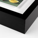 Artisan Fruits I by Coup Desprit - 30X40 Black Maple