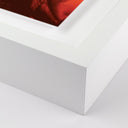 Tranquil Views Sunset Horses by Coup Desprit - 48X36 White Maple