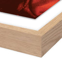 Tranquil Views Sunset Horses by Coup Desprit - 48X36 White Oak