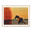 Celeste Collection Horse by Coup Desprit - 24X18 White Oak