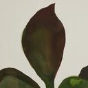 Radiant Golden Era by Molly Franken - Framed Paper 365X48