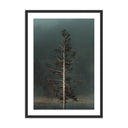 Veritas Winds I by Mandy Steinback - 175X24 Black Maple