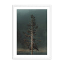 Veritas Winds I by Mandy Steinback - 175X24 White Maple