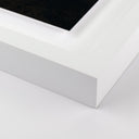 Desert Bloom Ocotillo II by Mandy Steinback - 23X32 White Maple Framed Paper