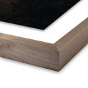 Desert Bloom Ocotillo II by Mandy Steinback - 175X24 Rustic Walnut Framed Paper