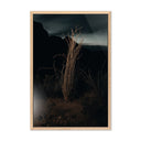 Desert Bloom Ocotillo II by Mandy Steinback - 1625X24 White Oak Framed Metal