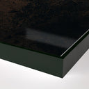 Desert Bloom Ocotillo II by Mandy Steinback - 1625X24 Black Maple Framed Metal