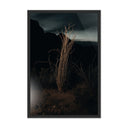 Desert Bloom Ocotillo II by Mandy Steinback - 1625X24 Black Maple Framed Metal