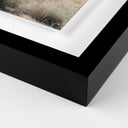 Aetherial Ocotillo by Mandy Steinback - 33X40 Black Maple