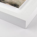 Aetherial Ocotillo by Mandy Steinback - 33X40 White Maple