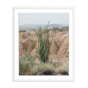 Aetherial Ocotillo by Mandy Steinback - 33X40 White Maple