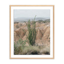 Aetherial Ocotillo by Mandy Steinback - 20X24 White Oak