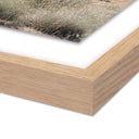 Aetherial Ocotillo by Mandy Steinback - 265X32 White Oak