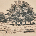 Aurelia Path View by Dan Hobday - 32X24