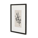Aurelia Sprig I by Coup Desprit - 30X40