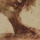 Harmony Undone Cypress by Coup Desprit - 24X32