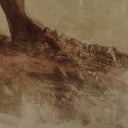 Harmony Undone Cypress by Coup Desprit - 18X24